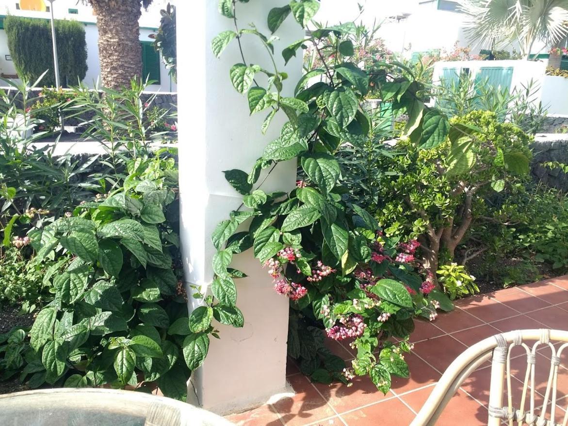 Casa Maracuya Βίλα Costa Teguise Εξωτερικό φωτογραφία