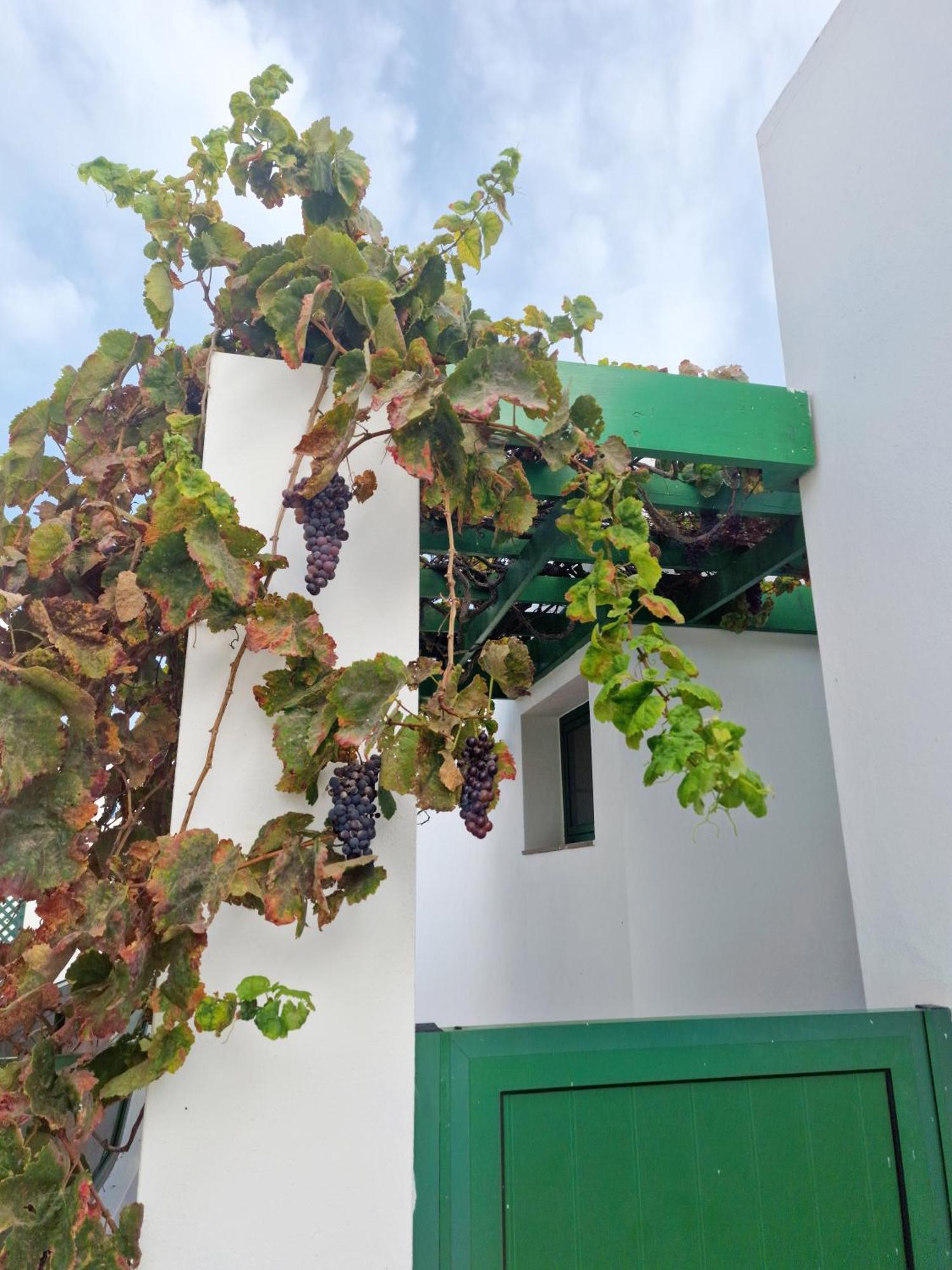 Casa Maracuya Βίλα Costa Teguise Εξωτερικό φωτογραφία